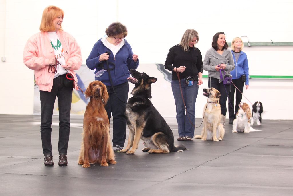 Schedule of Dog Training Classes, Activities, Events in Twin Cities Area Of Minnesota